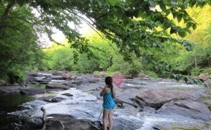 Algonquin Trails Camping Resort
